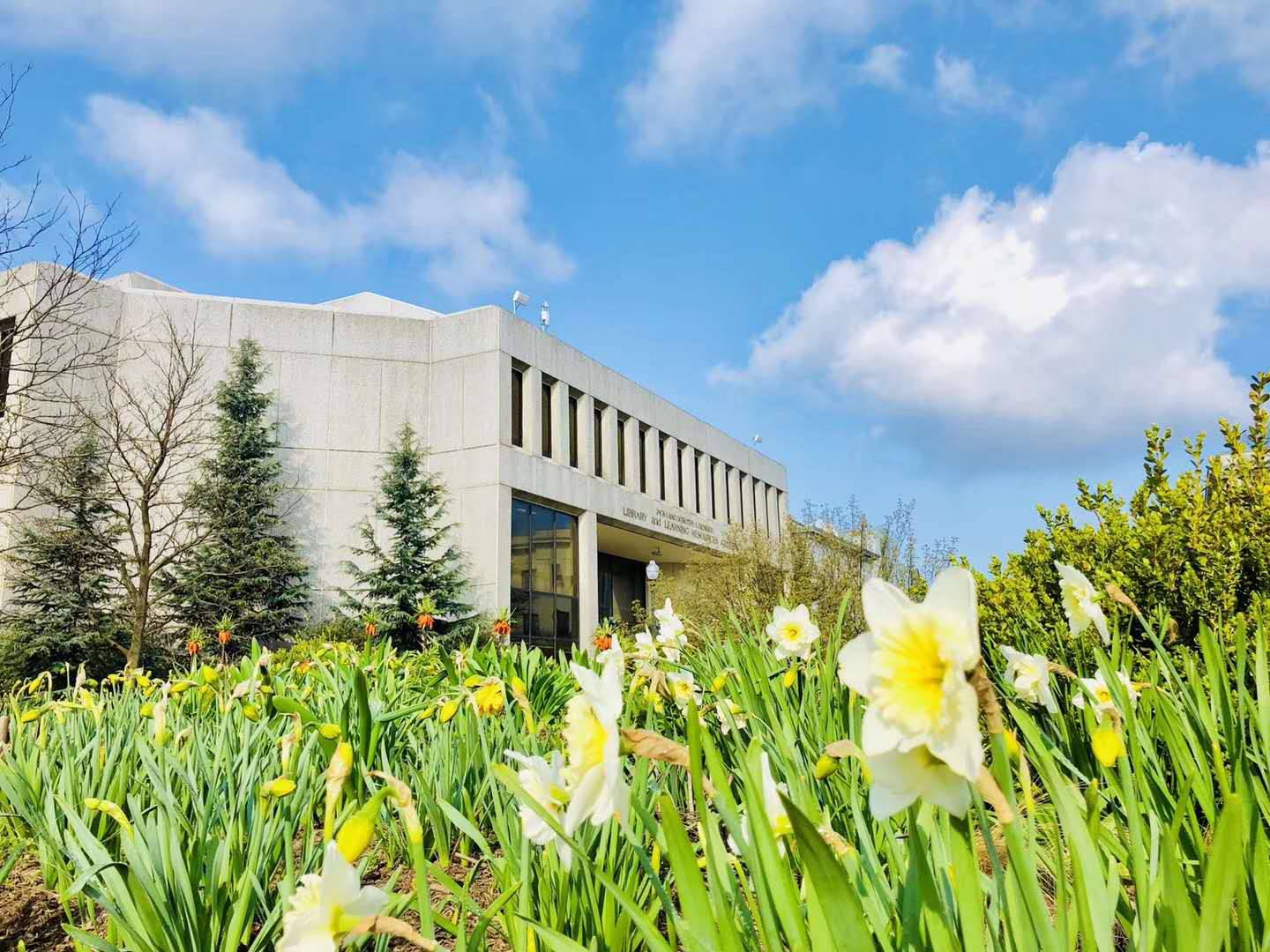 美利坚大学申请难度